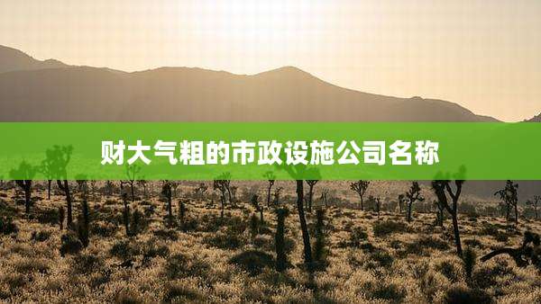 财大气粗的市政设施公司名称