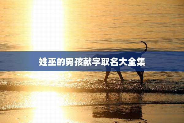 姓巫的男孩献字取名大全集