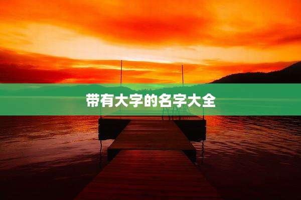 带有大字的名字大全