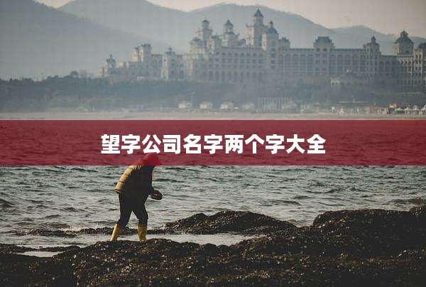 望字公司名字两个字大全