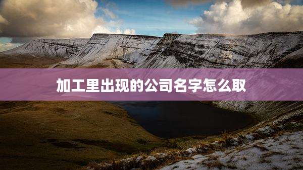 加工里出现的公司名字怎么取