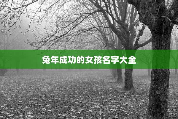 兔年成功的女孩名字大全