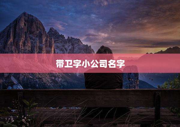 带卫字小公司名字