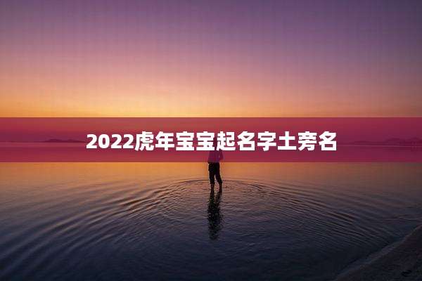 2022虎年宝宝起名字土旁名
