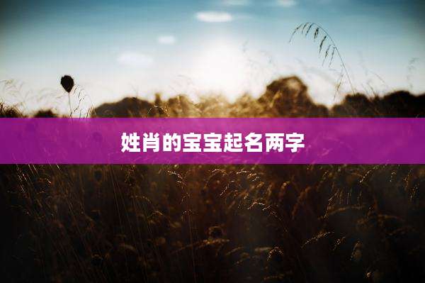 姓肖的宝宝起名两字