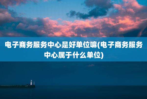 电子商务服务中心是好单位嘛(电子商务服务中心属于什么单位)