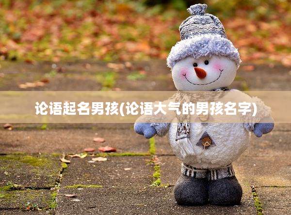 论语起名男孩(论语大气的男孩名字)