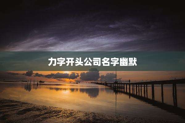 力字开头公司名字幽默