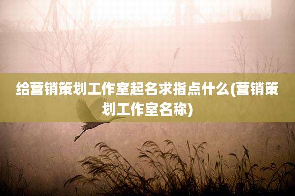 给营销策划工作室起名求指点什么(营销策划工作室名称)