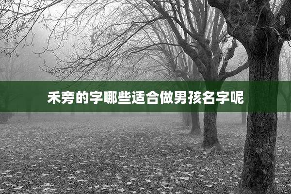 禾旁的字哪些适合做男孩名字呢