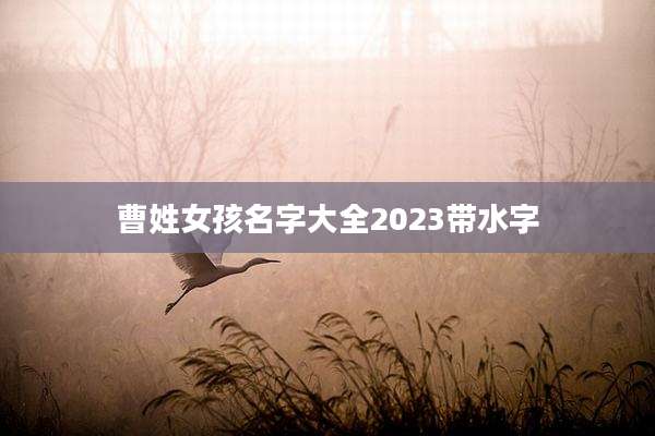 曹姓女孩名字大全2023带水字