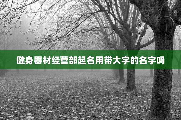健身器材经营部起名用带大字的名字吗