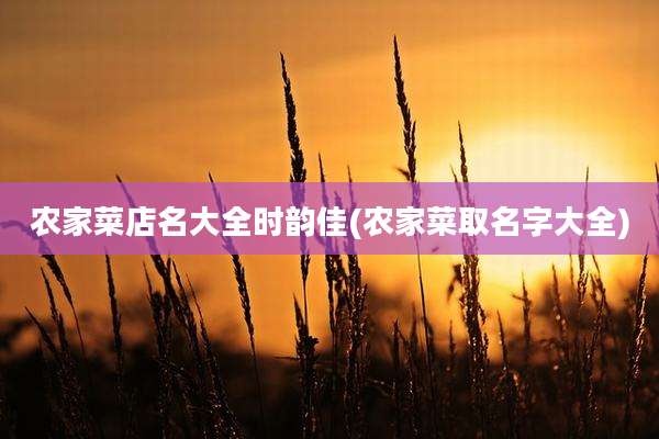 农家菜店名大全时韵佳(农家菜取名字大全)