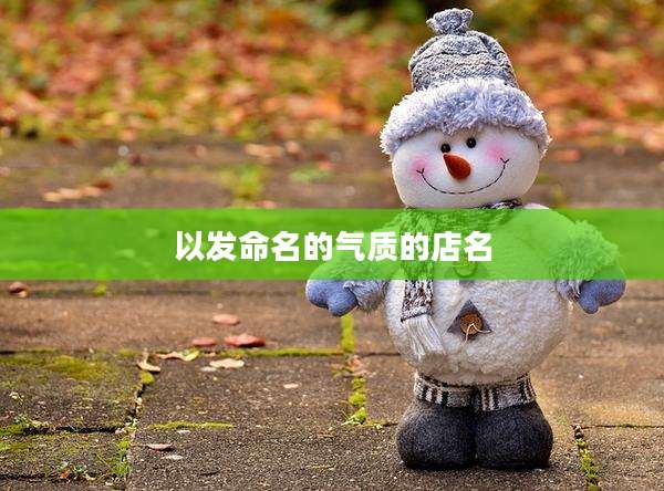 以发命名的气质的店名