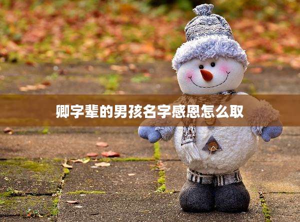 卿字辈的男孩名字感恩怎么取