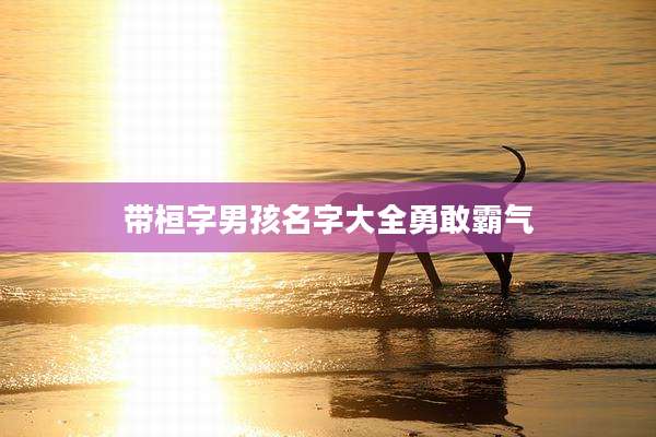 带桓字男孩名字大全勇敢霸气