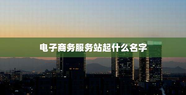电子商务服务站起什么名字