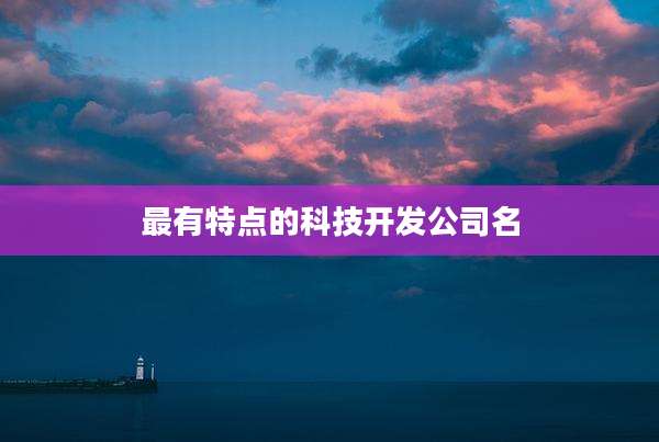 最有特点的科技开发公司名