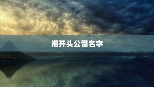 湘开头公司名字