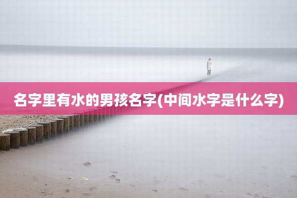 名字里有水的男孩名字(中间水字是什么字)
