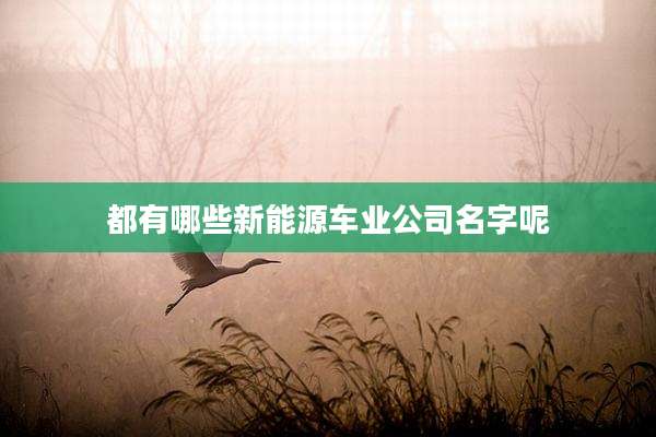 都有哪些新能源车业公司名字呢