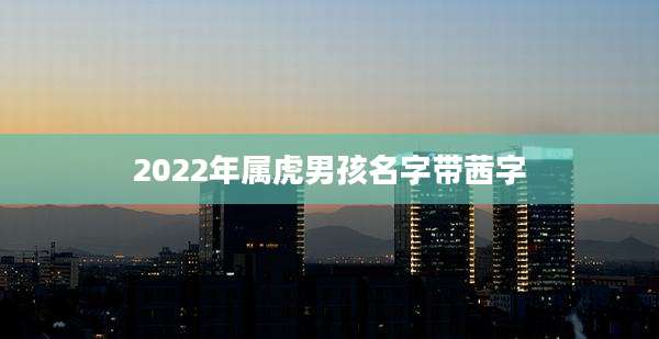 2022年属虎男孩名字带茜字