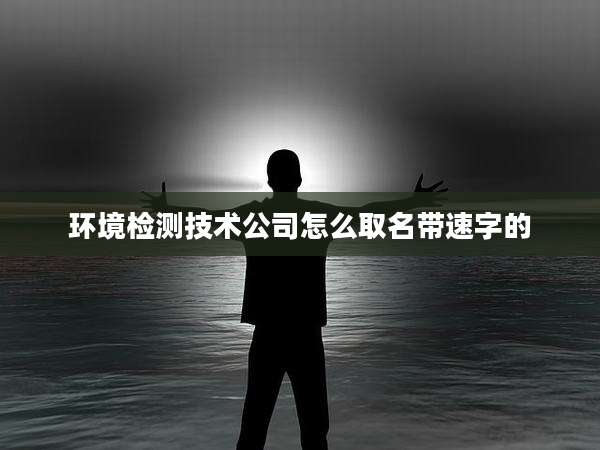 环境检测技术公司怎么取名带速字的