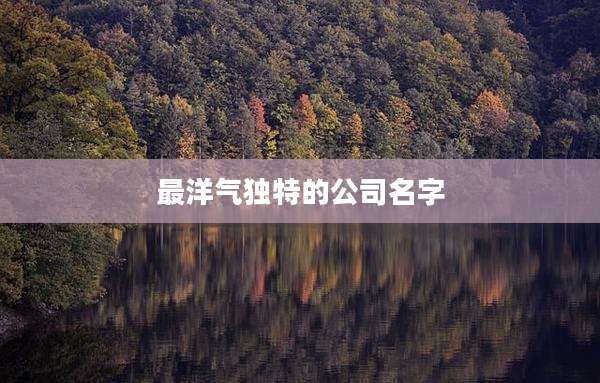最洋气独特的公司名字