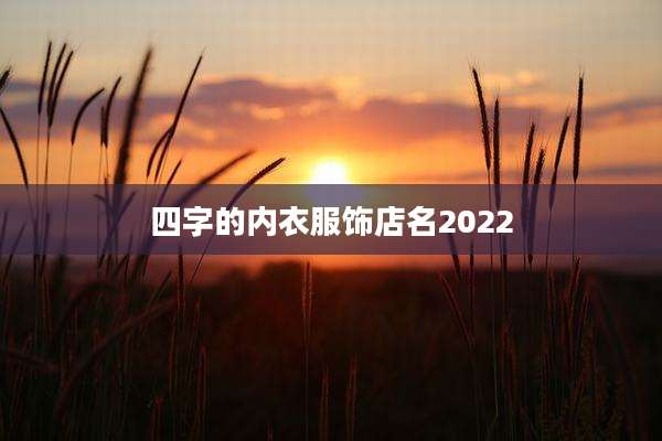 四字的内衣服饰店名2022