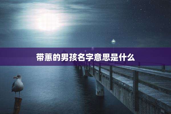 带蕙的男孩名字意思是什么