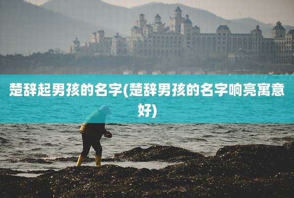 楚辞起男孩的名字(楚辞男孩的名字响亮寓意好)