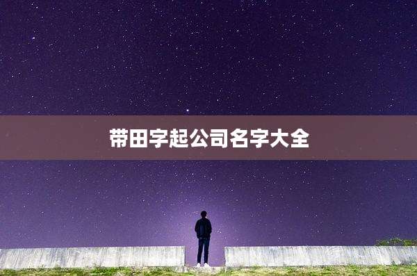 带田字起公司名字大全