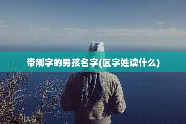 带刚字的男孩名字(区字姓读什么)