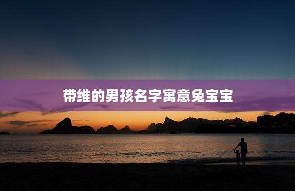 带维的男孩名字寓意兔宝宝