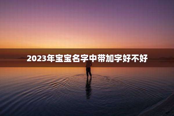 2023年宝宝名字中带加字好不好