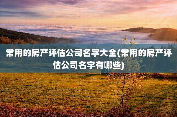 常用的房产评估公司名字大全(常用的房产评估公司名字有哪些)