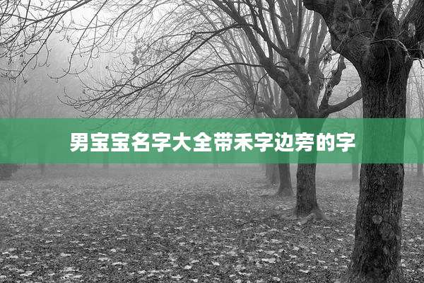 男宝宝名字大全带禾字边旁的字