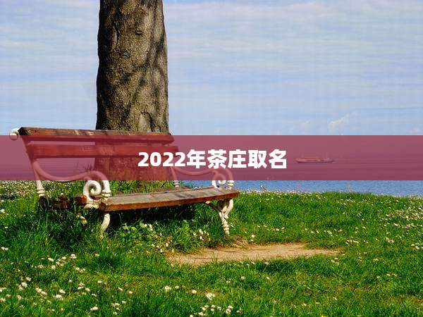2022年茶庄取名