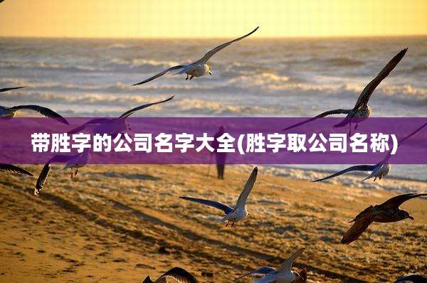 带胜字的公司名字大全(胜字取公司名称)