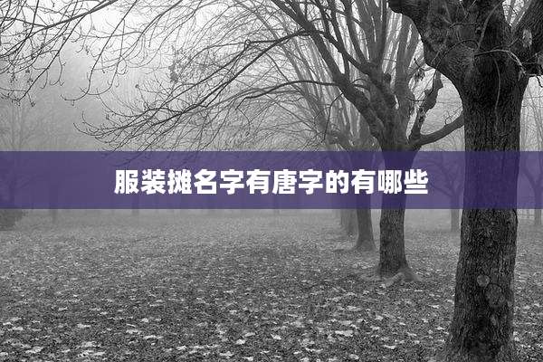 服装摊名字有唐字的有哪些