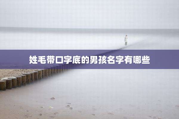 姓毛带口字底的男孩名字有哪些