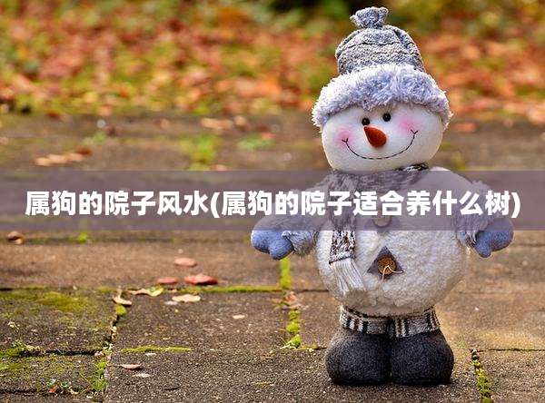 属狗的院子风水(属狗的院子适合养什么树)
