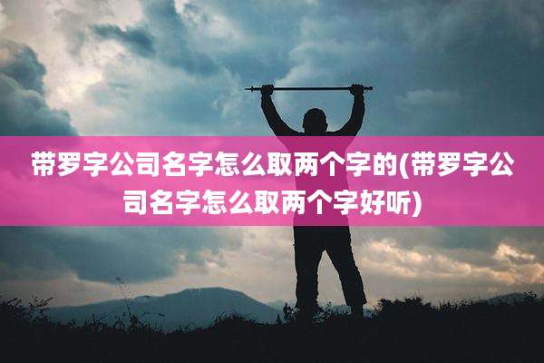 带罗字公司名字怎么取两个字的(带罗字公司名字怎么取两个字好听)