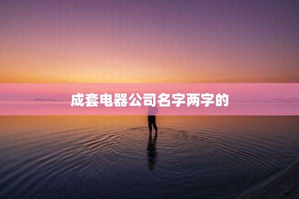 成套电器公司名字两字的