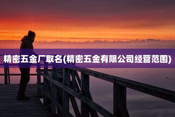 精密五金厂取名(精密五金有限公司经营范围)