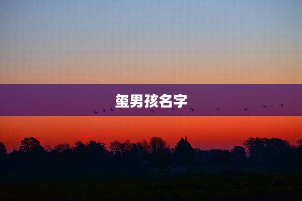 玺男孩名字