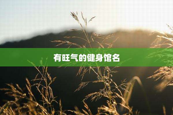 有旺气的健身馆名