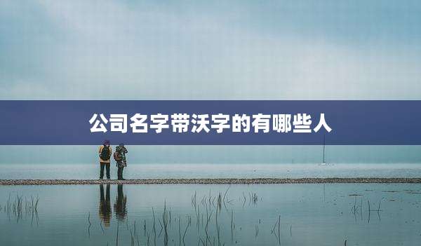 公司名字带沃字的有哪些人