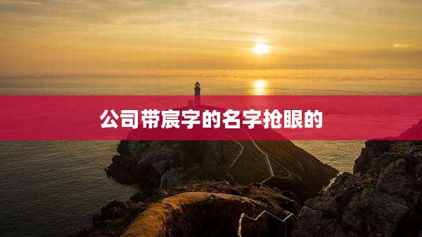公司带宸字的名字抢眼的