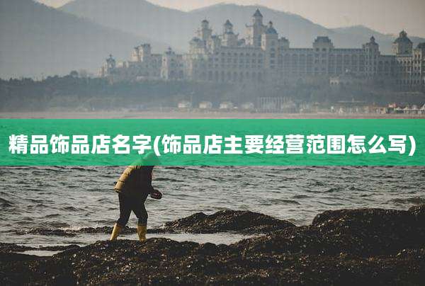 精品饰品店名字(饰品店主要经营范围怎么写)
